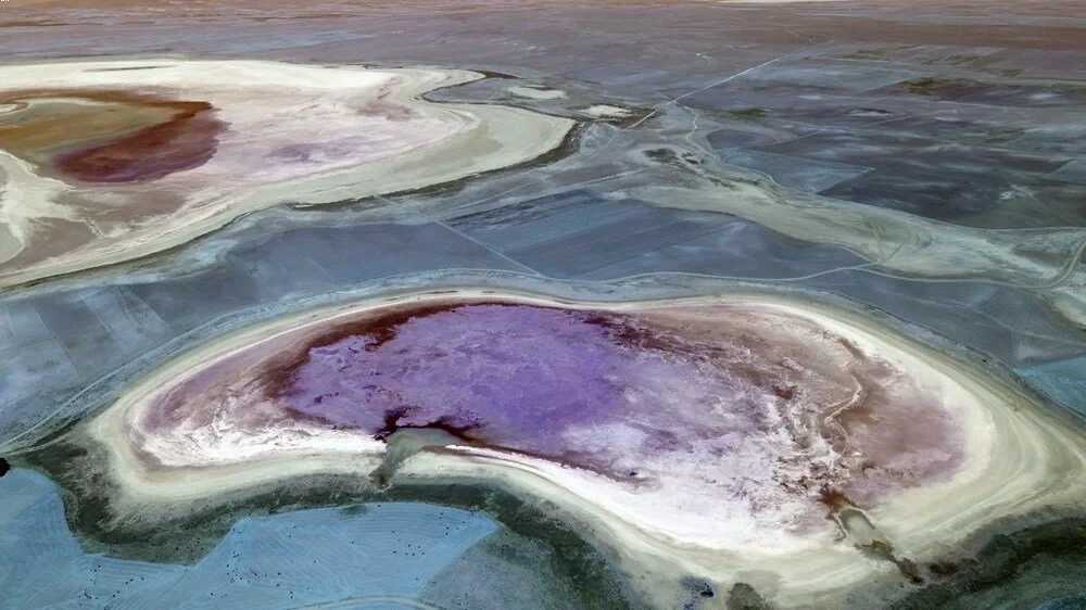 'Flamingo paradise' in Türkiye's Kucuk Lake drying up due to mistakes and climate change