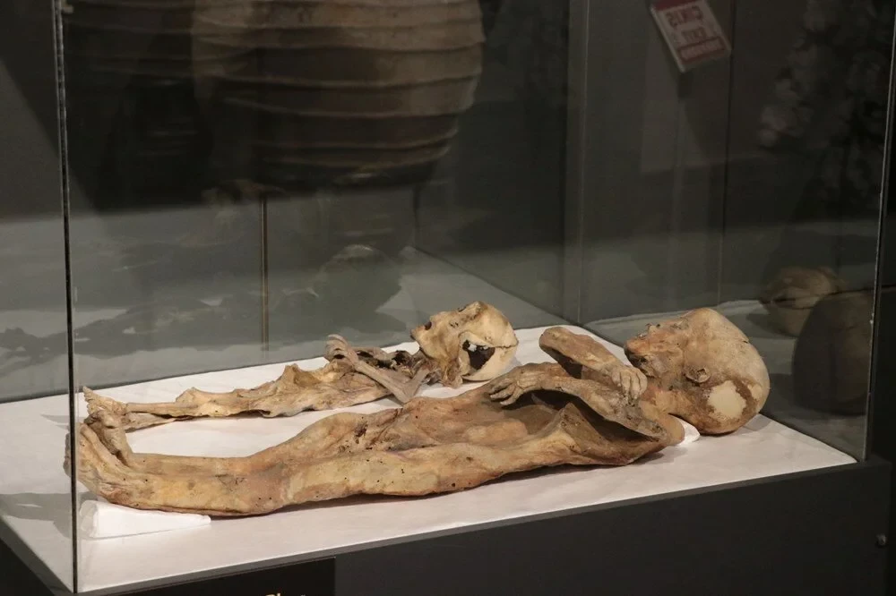 Anatolia's mummies