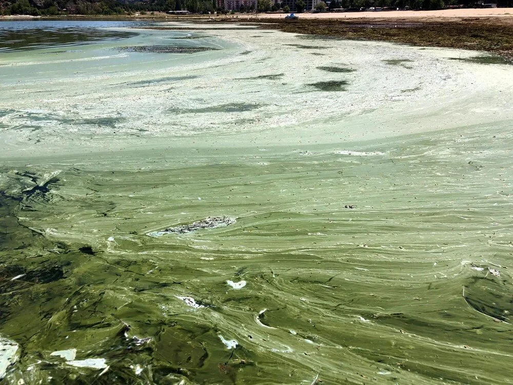 Türkiye's significant freshwater source Egirdir Lake faces severe pollution, drought