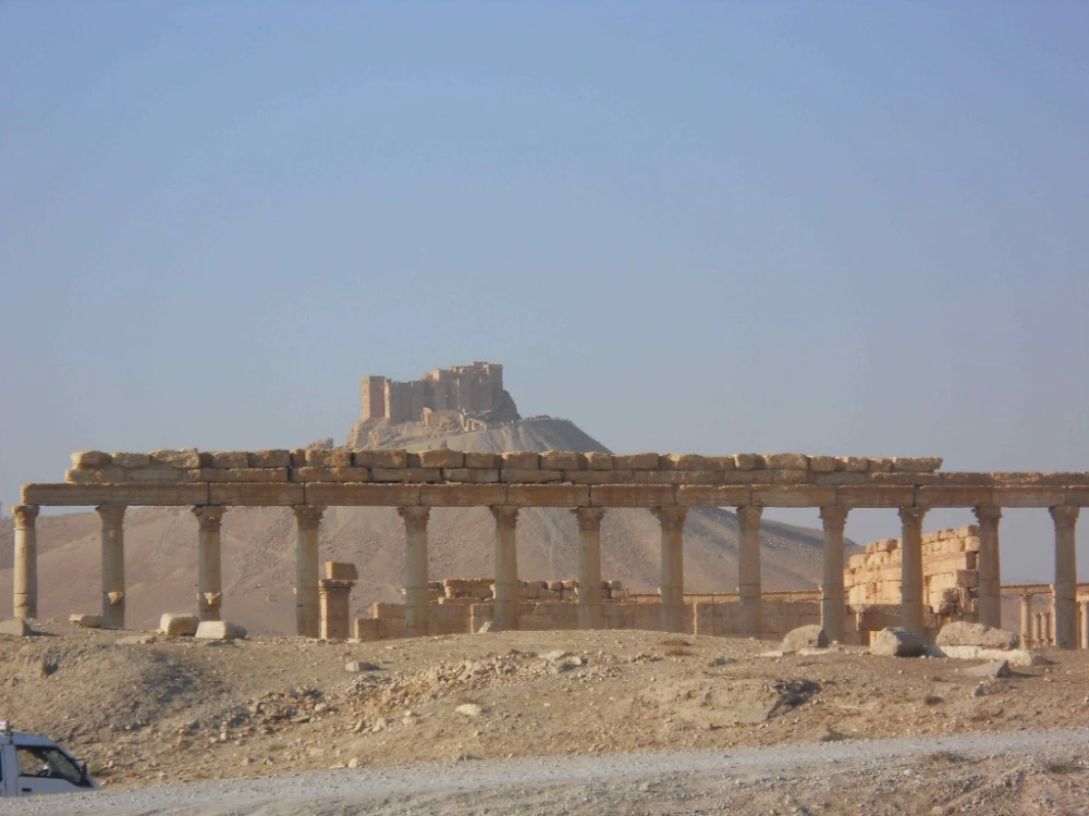 After Assad’s fall, can Palmyra’s cultural heritage be saved?