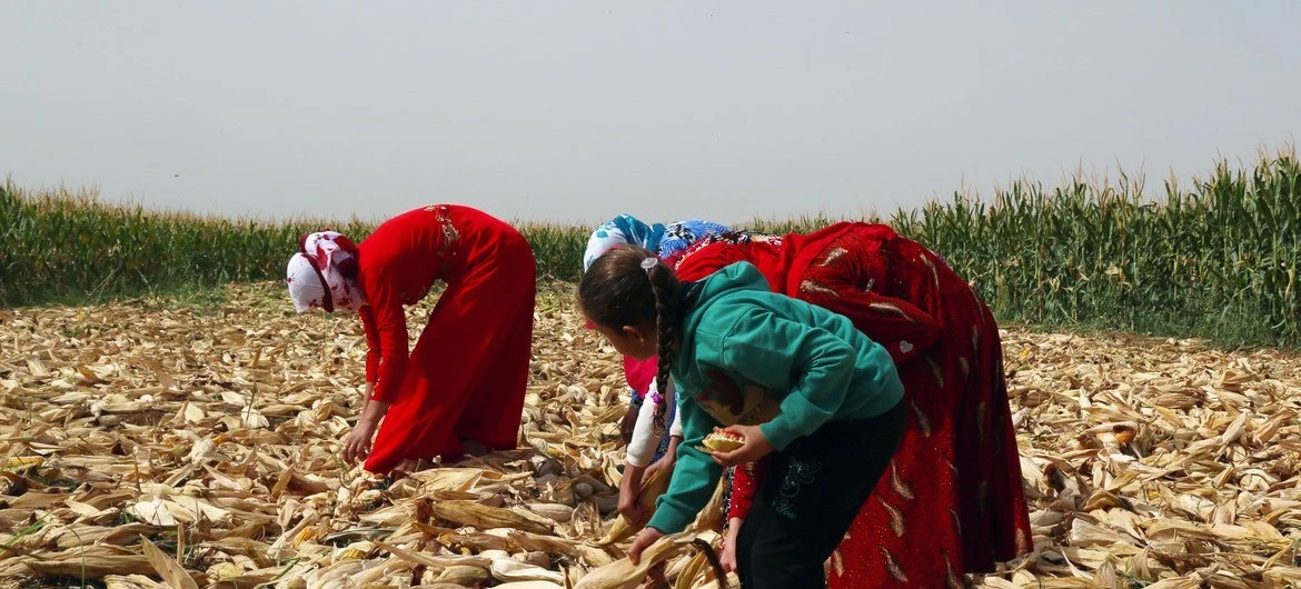 Türkiye to initiate agricultural action plan for Syria