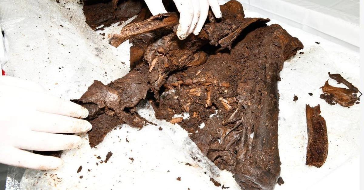 Iron Age mystery: 2,000-year-old human remains recovered