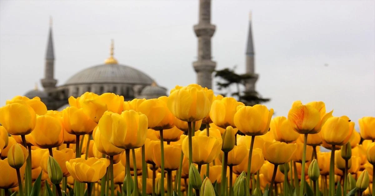 Istanbul welcomes Eid al-Fitr with art, tradition, tulip-filled parks