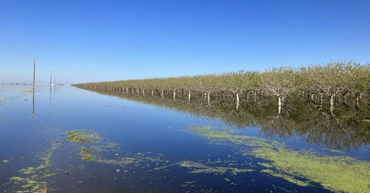 Lost California lake resurfaces after 130 years