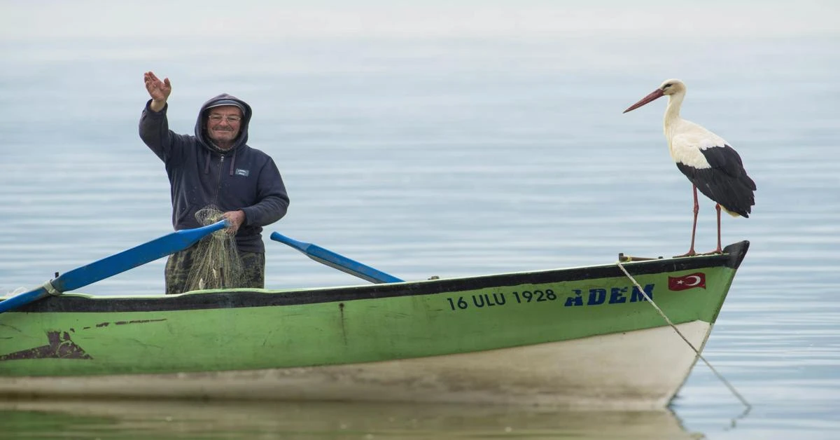 Stork ‘Yaren’ returns to Turkish fisherman Yilmaz for 13th time