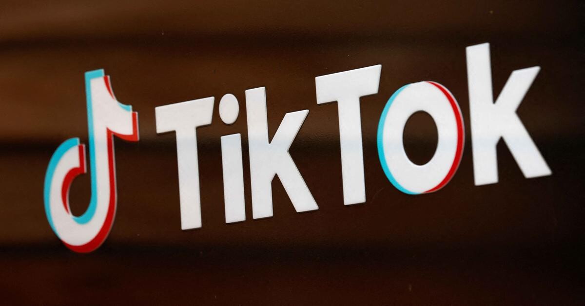 TikTok to ramp up fight against fake news ahead of EU elections