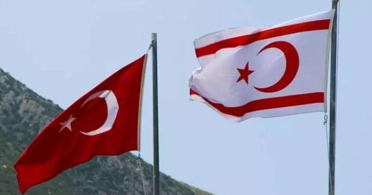 Türkiye's army plays vital role in Cyprus: Turkish Cypriot president 