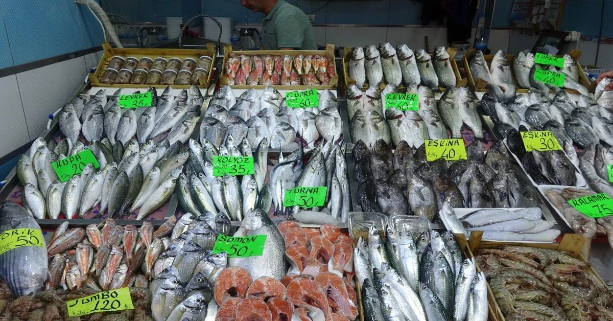 Türkiye breaks record in fisheries with 1M in 2023