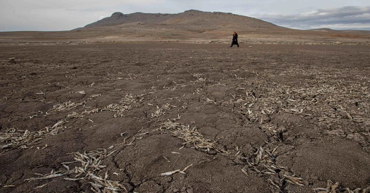 Türkiye's climate could become more like Egypt's, researcher warns