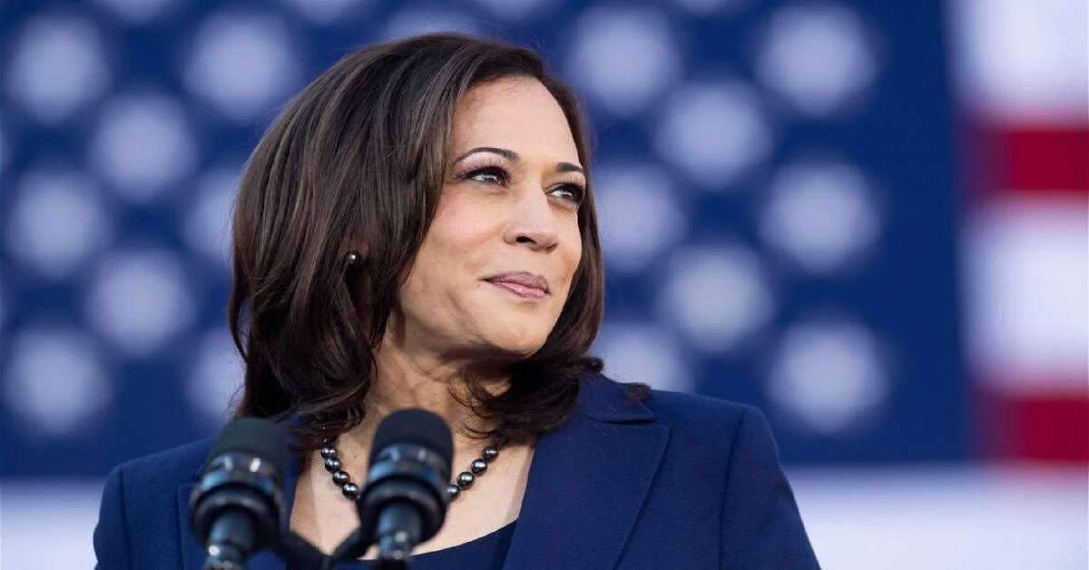 Hollywood stars support Kamala Harris' candidacy