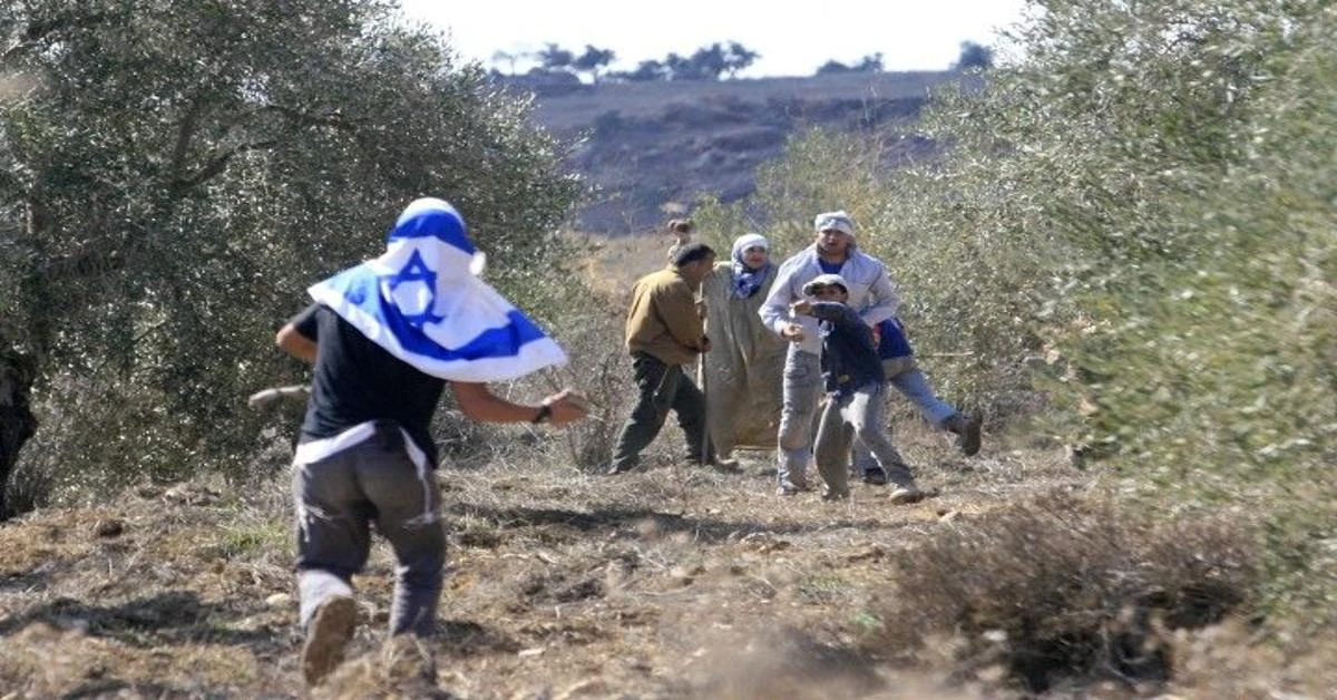 Violent attacks by Israeli settlers leave Palestinians injured