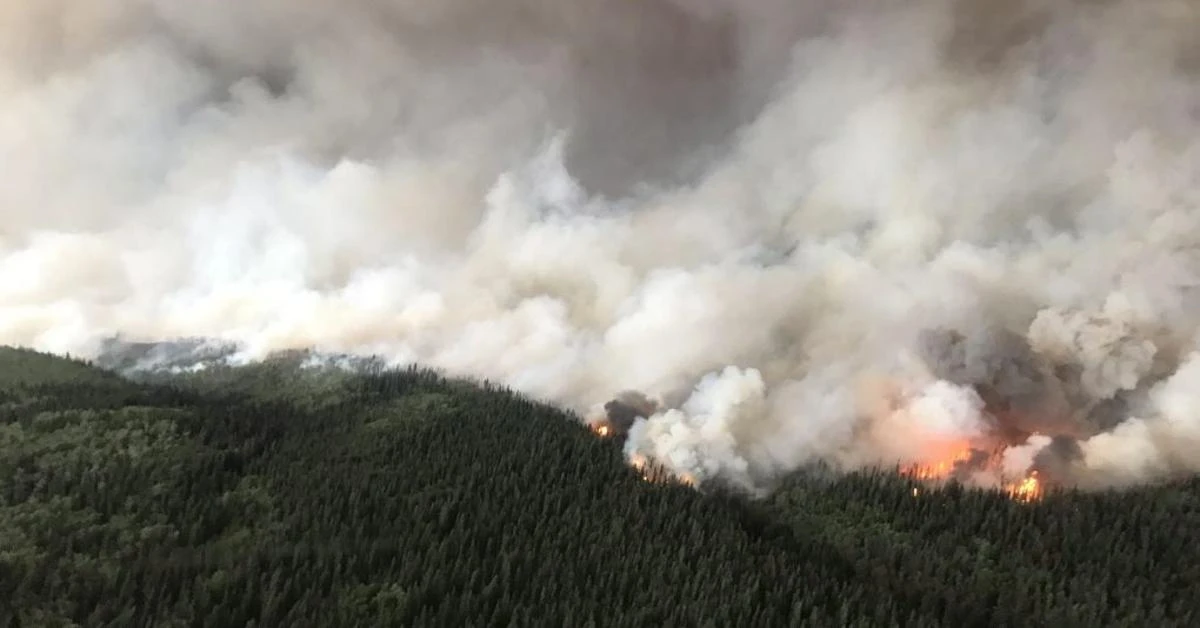 Zombie fires in Canada rise as winter wildfires emerge from underground