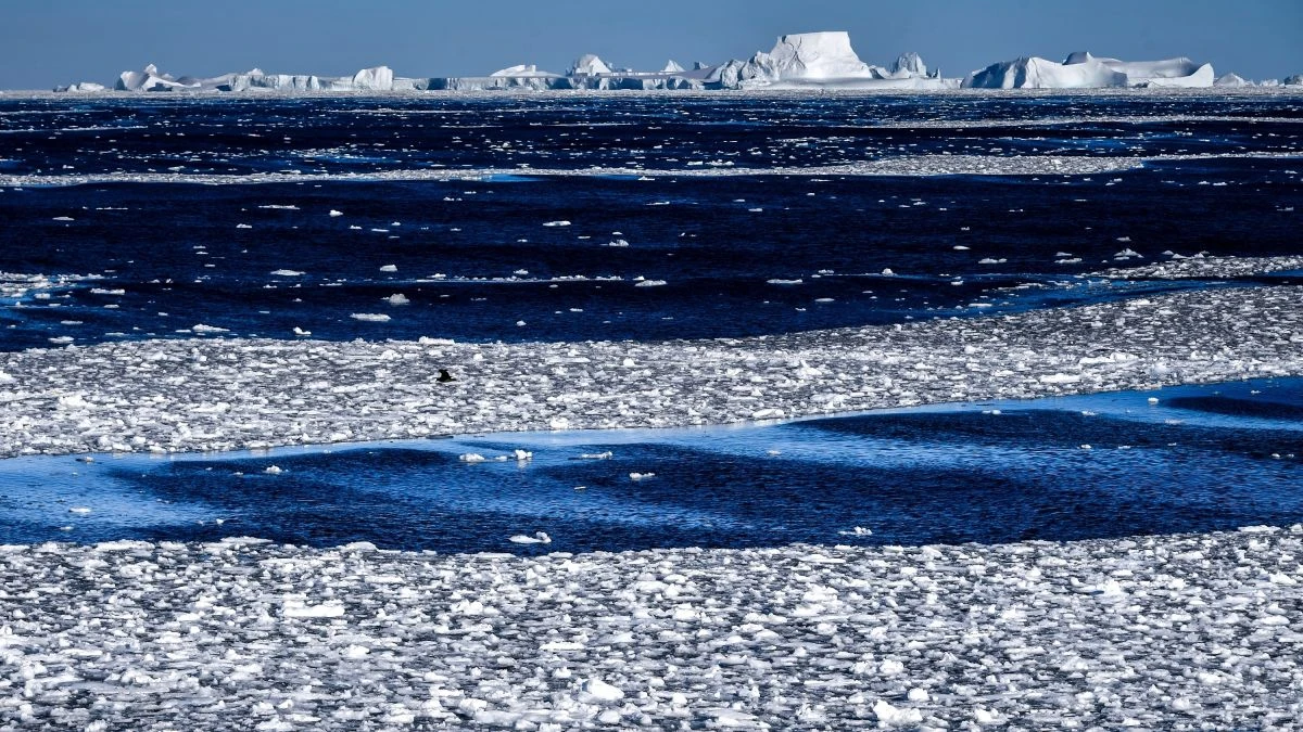 Temperatures soar 10°C above average in Antarctic heatwave