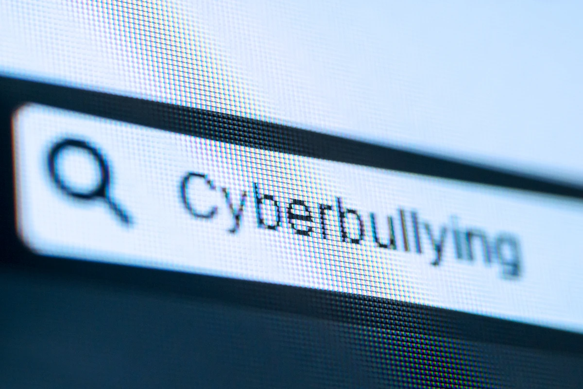 Cyberbullying among youth on Turkish Parliament's agenda