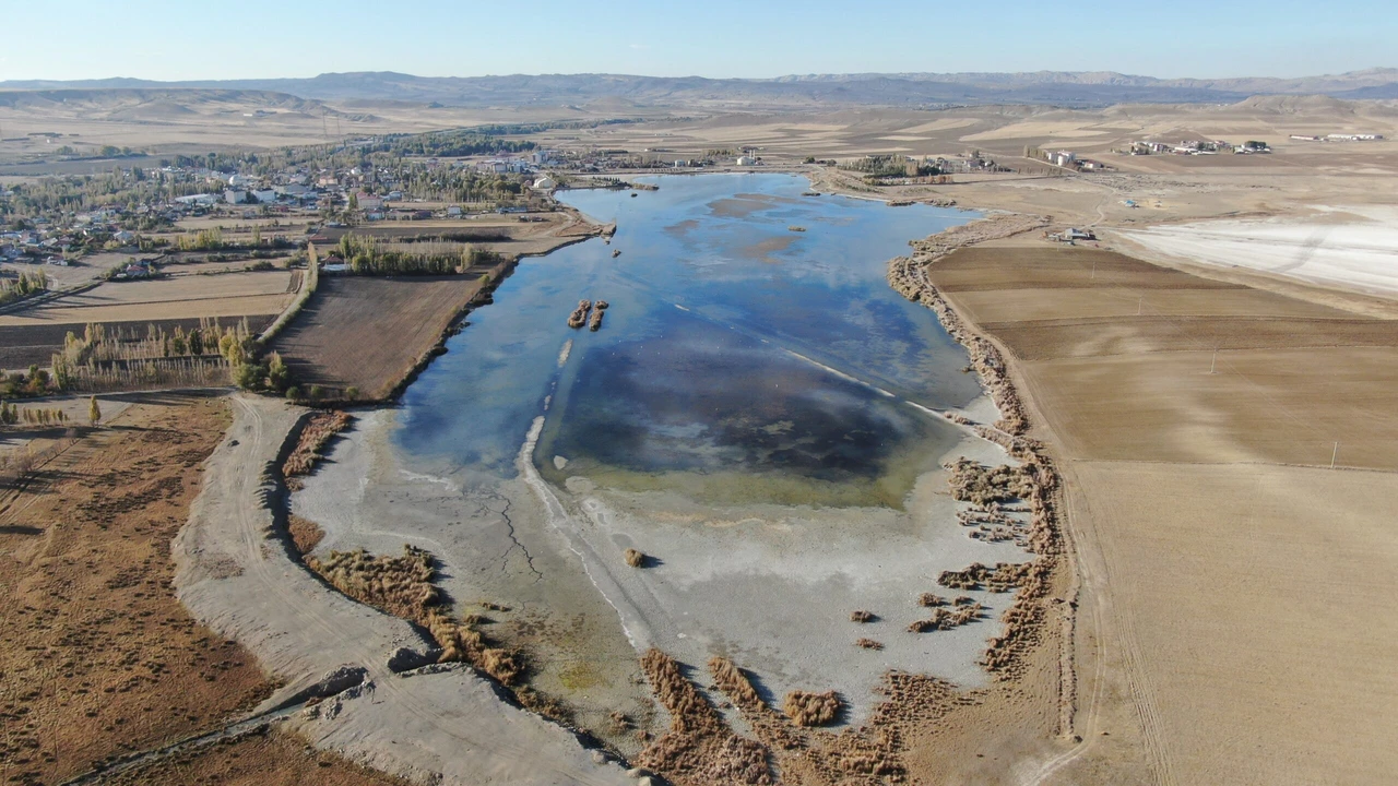 Flamingoes fly over Lake Ulas which is battling drought, in Sivas, Türkiye, Oct. 31, 2024. (IHA Photo)