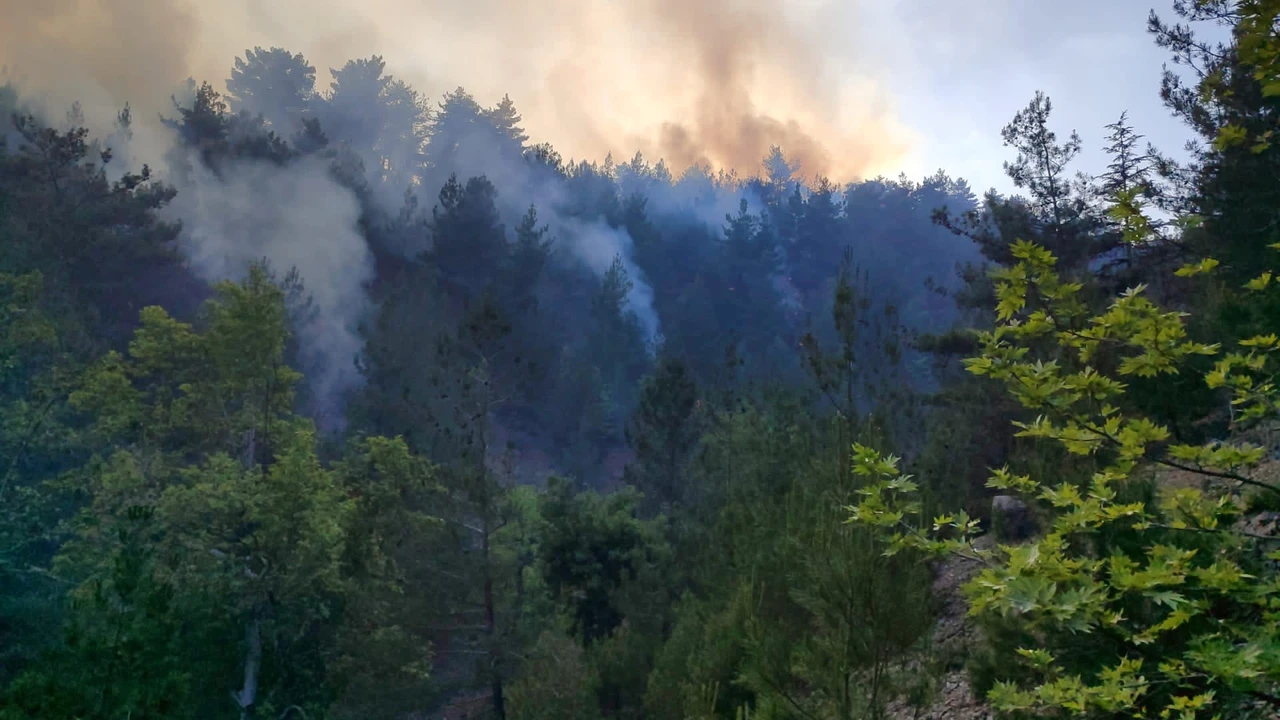 Wildfires engulf multiple Turkish provinces, prompting emergency response