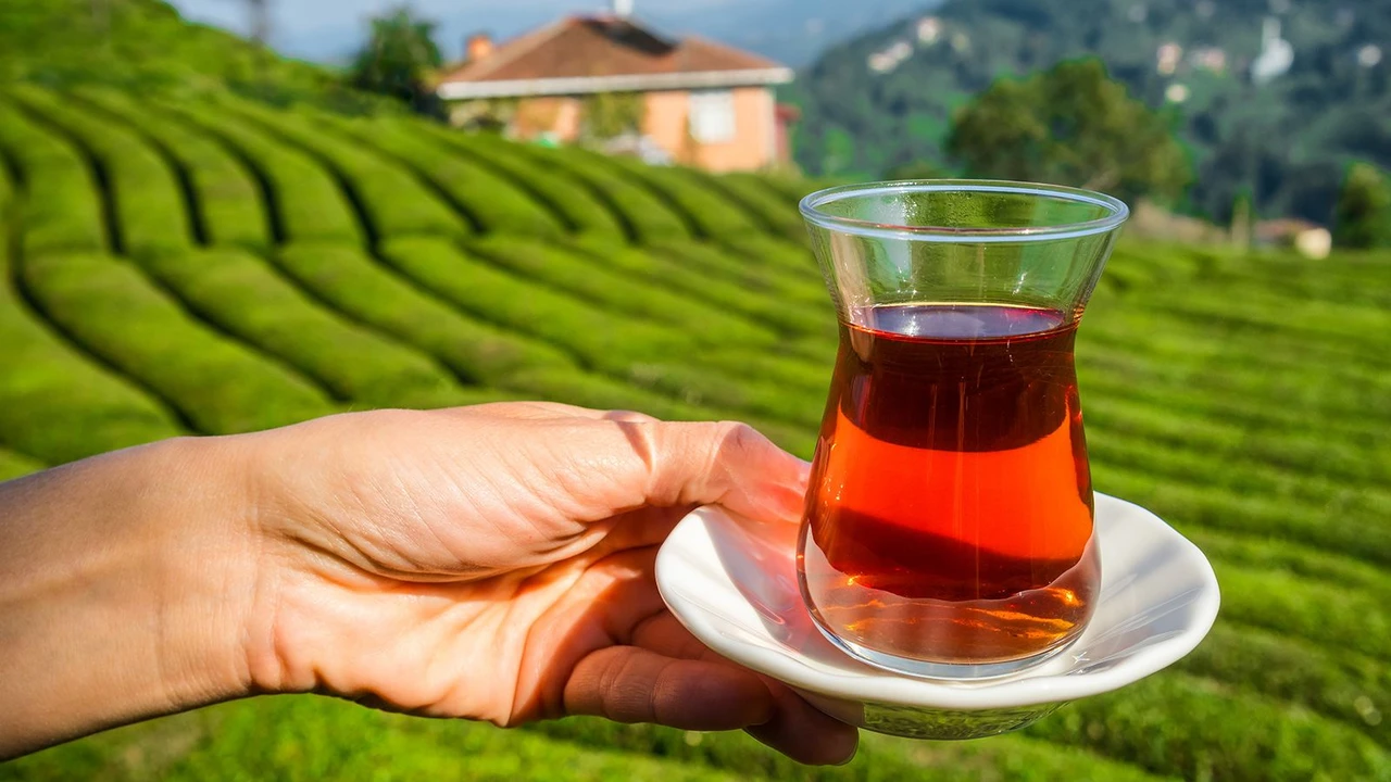 Turkish tea enjoyed across globe, reaches 112 countries