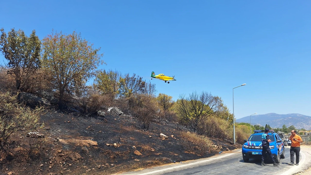 Fire near Türkiye's ancient city Ephesus under control