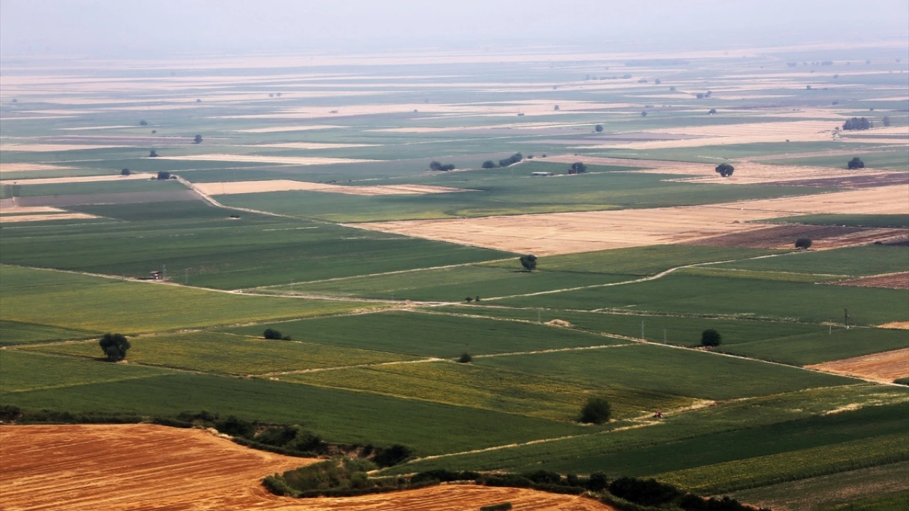 Türkiye's agriculture faces severe water crisis in Cukurova region