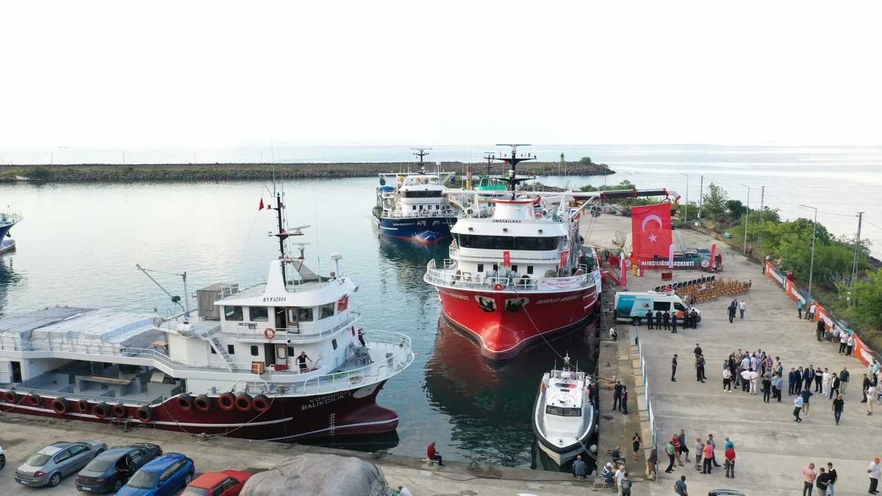 Fishing season in Black Sea begins with high expectations