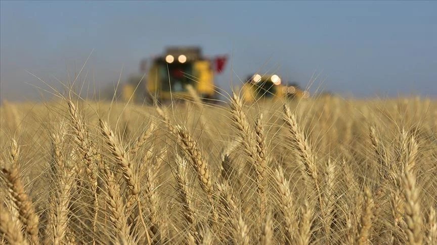 Türkiye’s agricultural producer price index rises by 32.1% annually – Türkiye Today