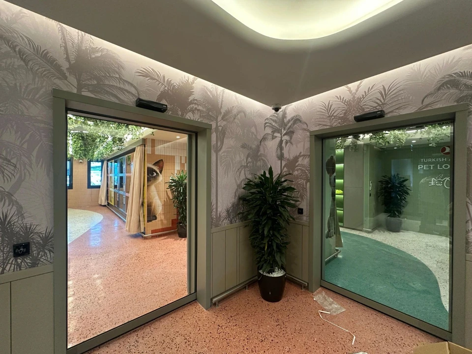 Turkish Airlines introduces ‘Pet Lounge’ at Istanbul Airport – Türkiye Today