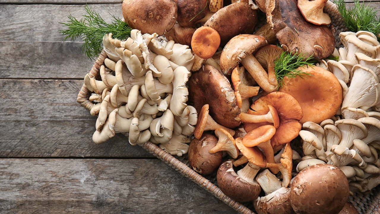 Edible mushrooms