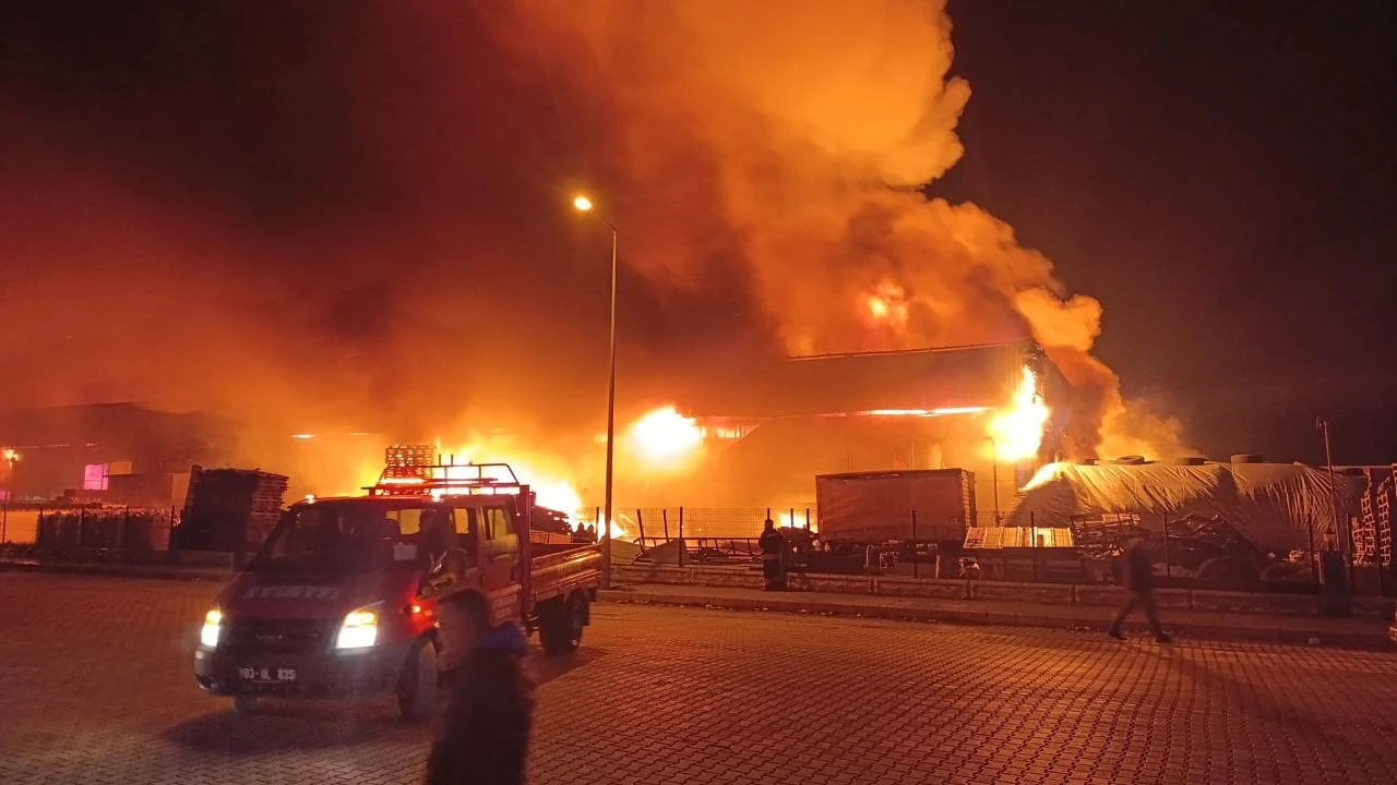 "Firefighters battle a blaze at a forest products factory in Afyonkarahisar, working to contain the flames engulfing the yard