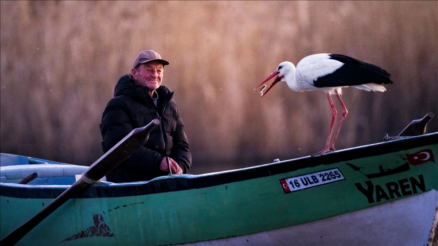 Yaren the Stork Returns to His Fisherman Friend in Turkey for the 14th Year