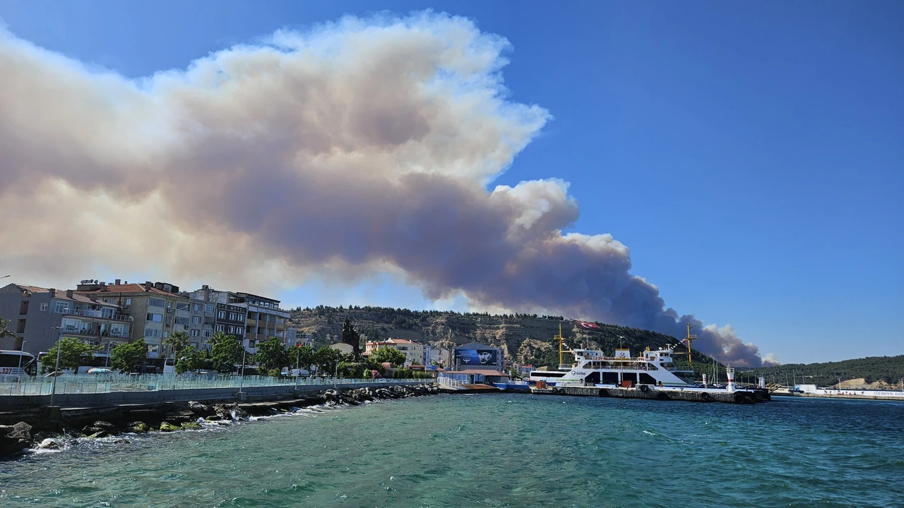 Wildfire rages near Gallipoli peninsula, prompts Dardanelles Strait traffic suspension