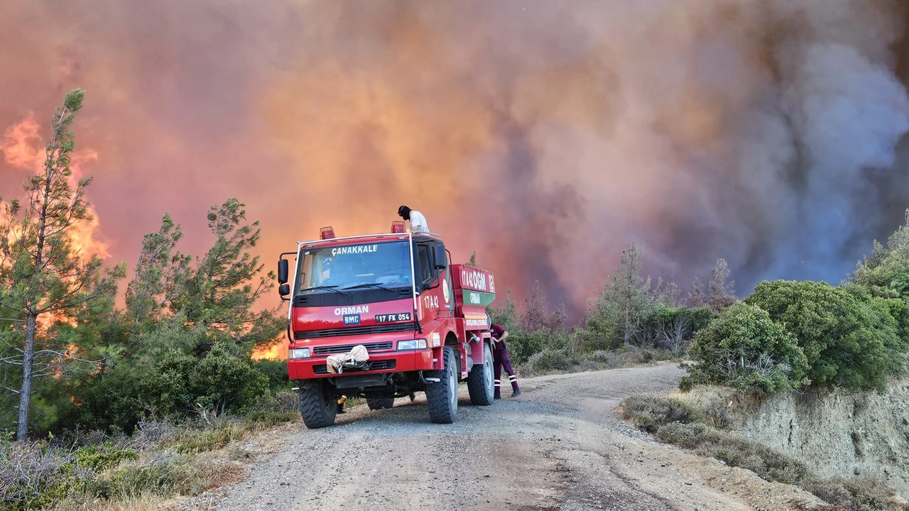 Forest fire erupts in Türkiye's Canakkale