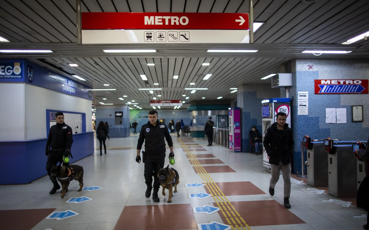 Photo shows K9 dogs in metro station.