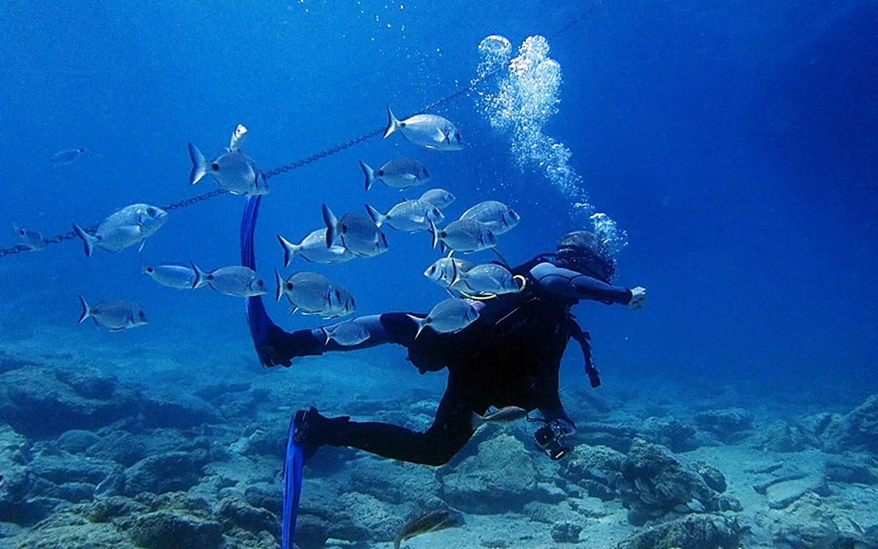 Bodrum's underwater riches captivate diving enthusiasts