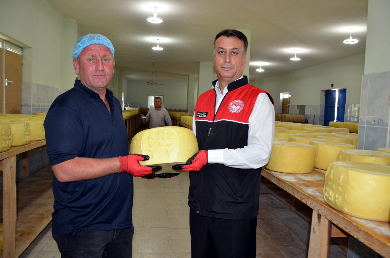 Türkiye's Mus produces famous 'aged kasar cheese,' expanding market reach
