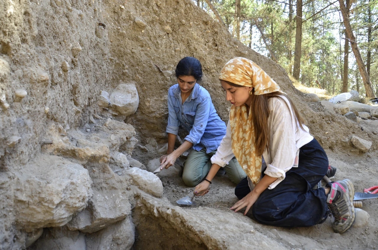 Ancient wheat discovery sheds light on Anatolia's agricultural heritage