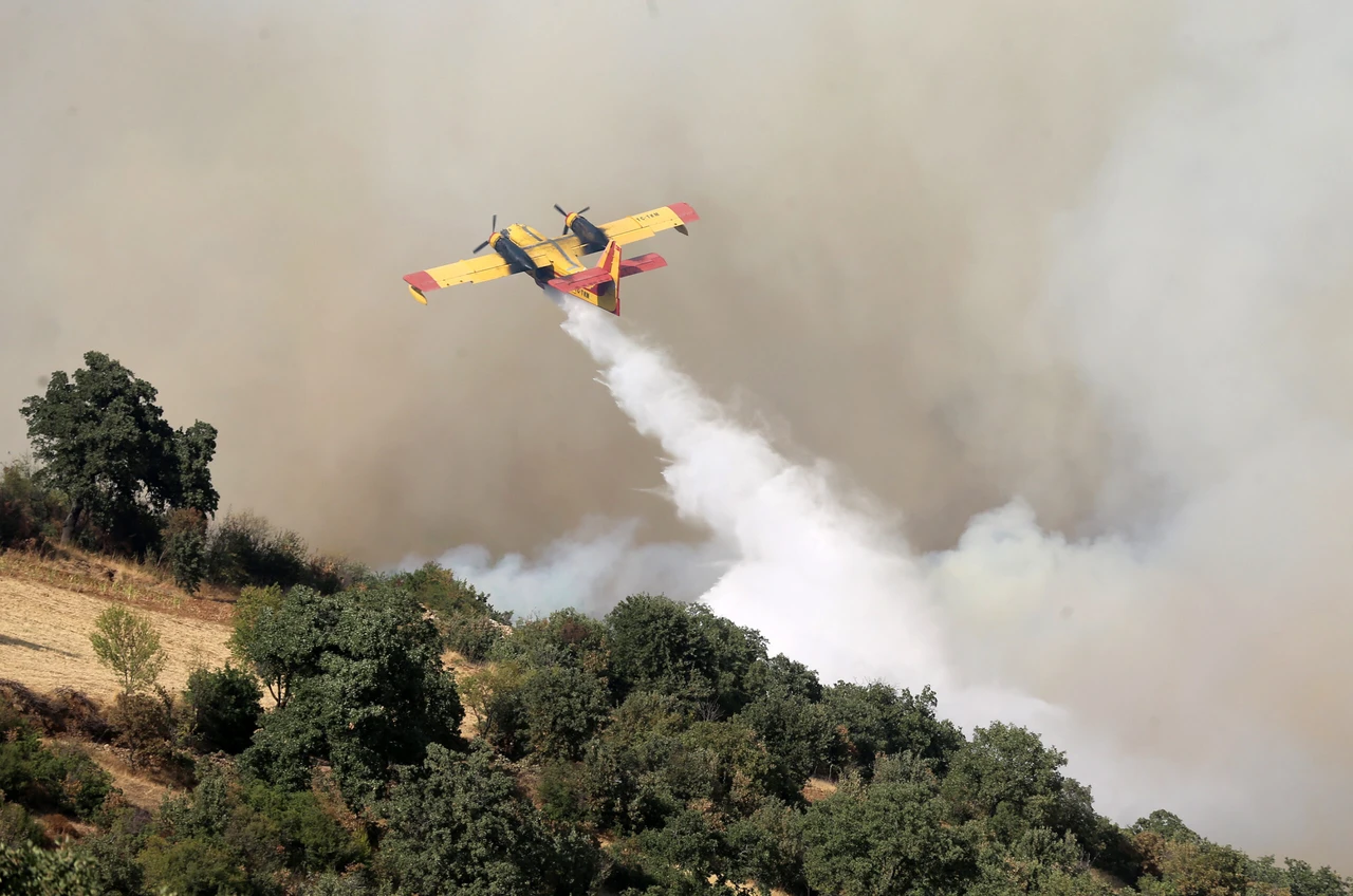 Türkiye grapples with widespread wild fires: 7 detained as new blazes erupt