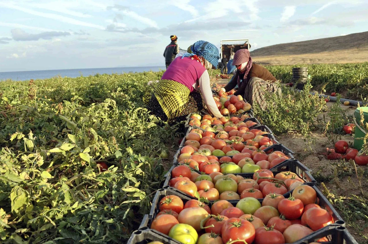 EU supports Türkiye's rural development with €785M IPARD program