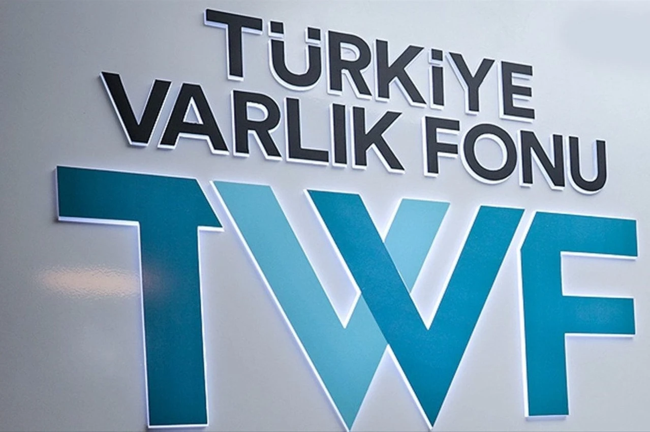 Türkiye Wealth Fund expands: 12 companies transferred from treasury