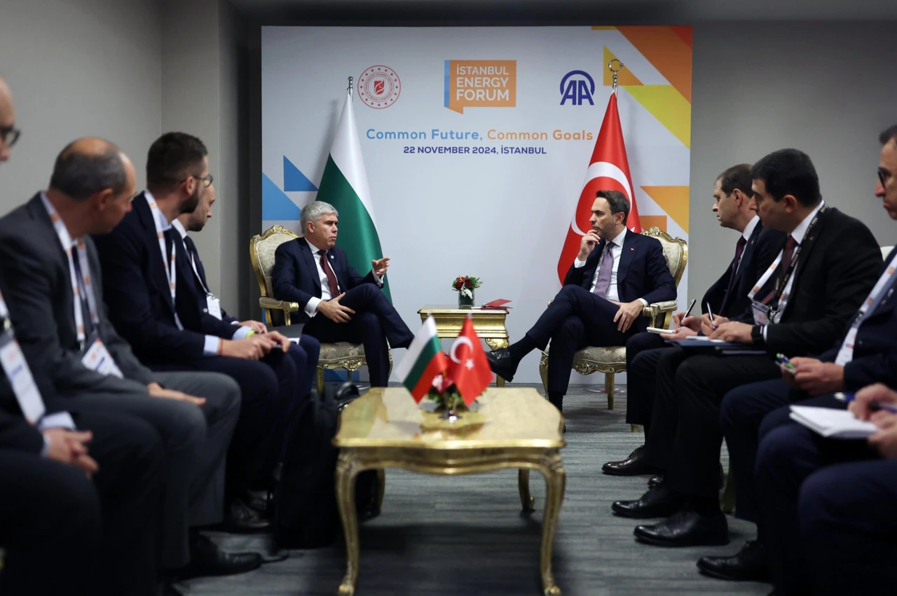 Türkiye, Bulgaria discuss enhancing electricity, natural gas interconnections