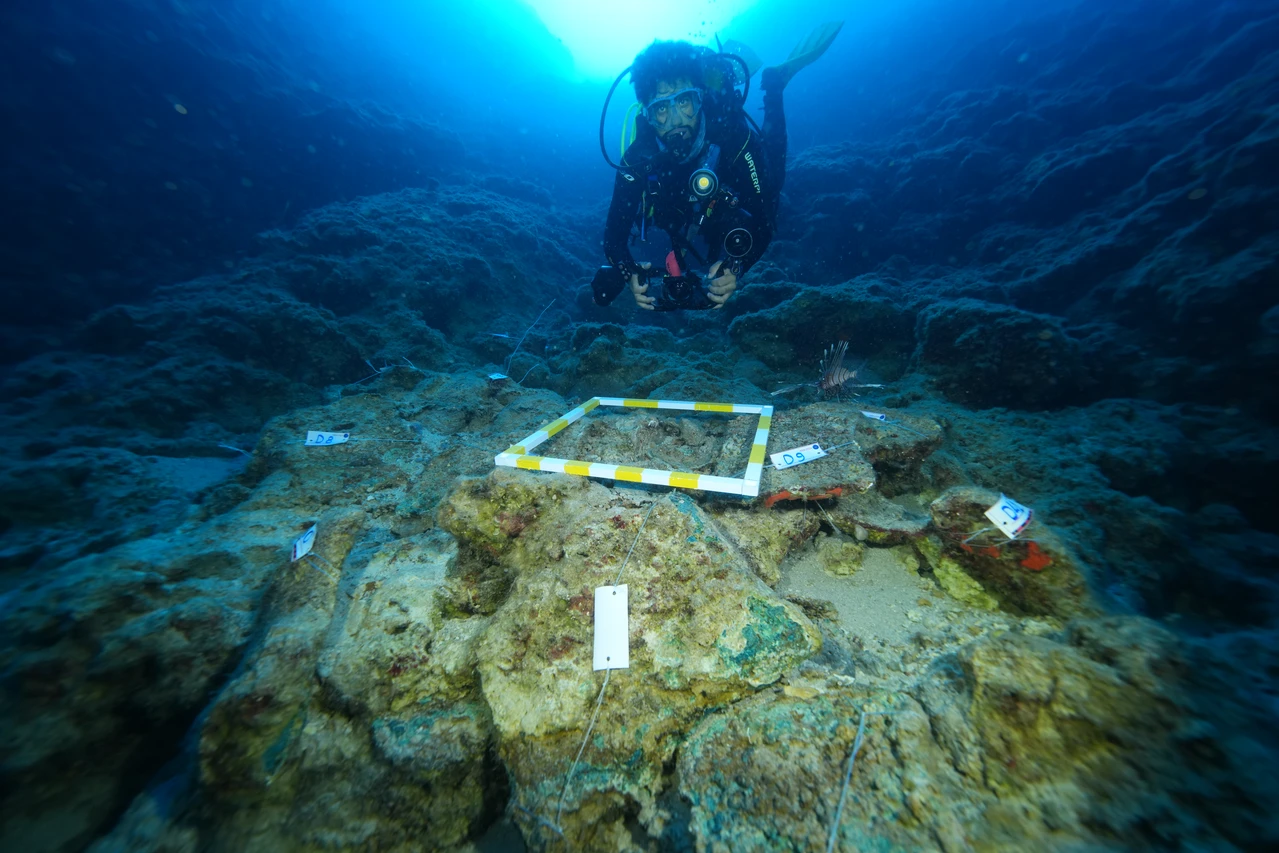 Unveiling world's oldest trade shipwreck in Türkiye