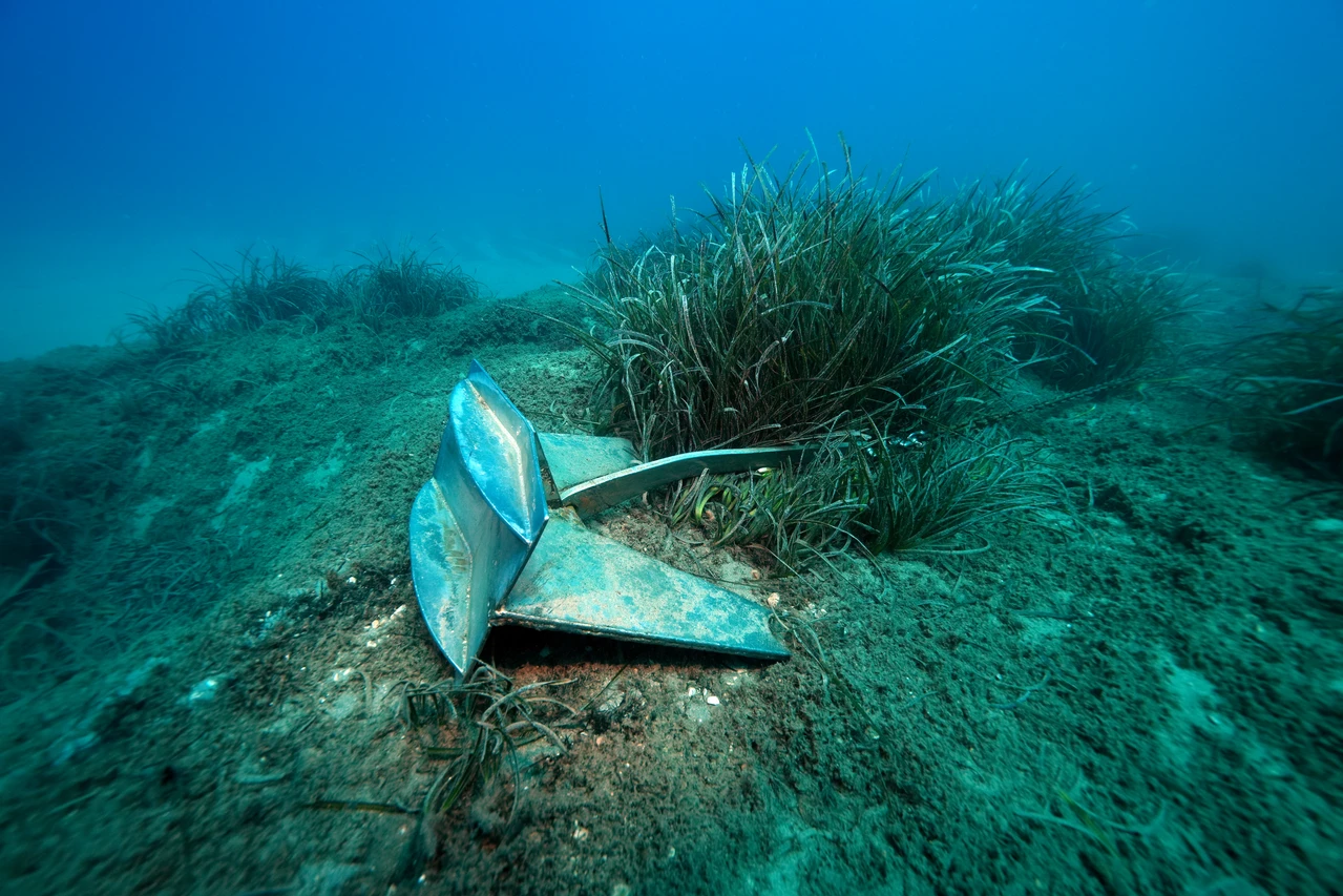 Anchors are damaging 'Lungs of the Mediterranean'