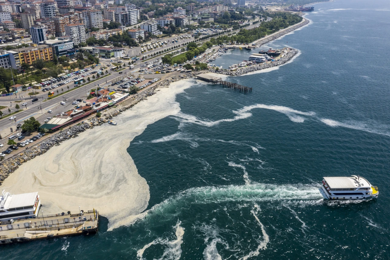 Mucilage in Marmara Sea