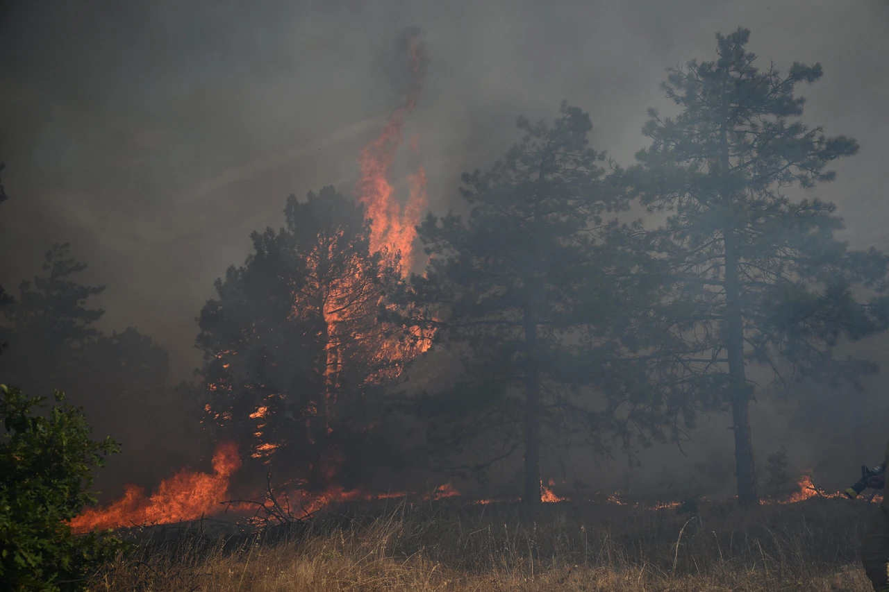 Thousands of hectares burn in massive fire in South-Central Bulgaria