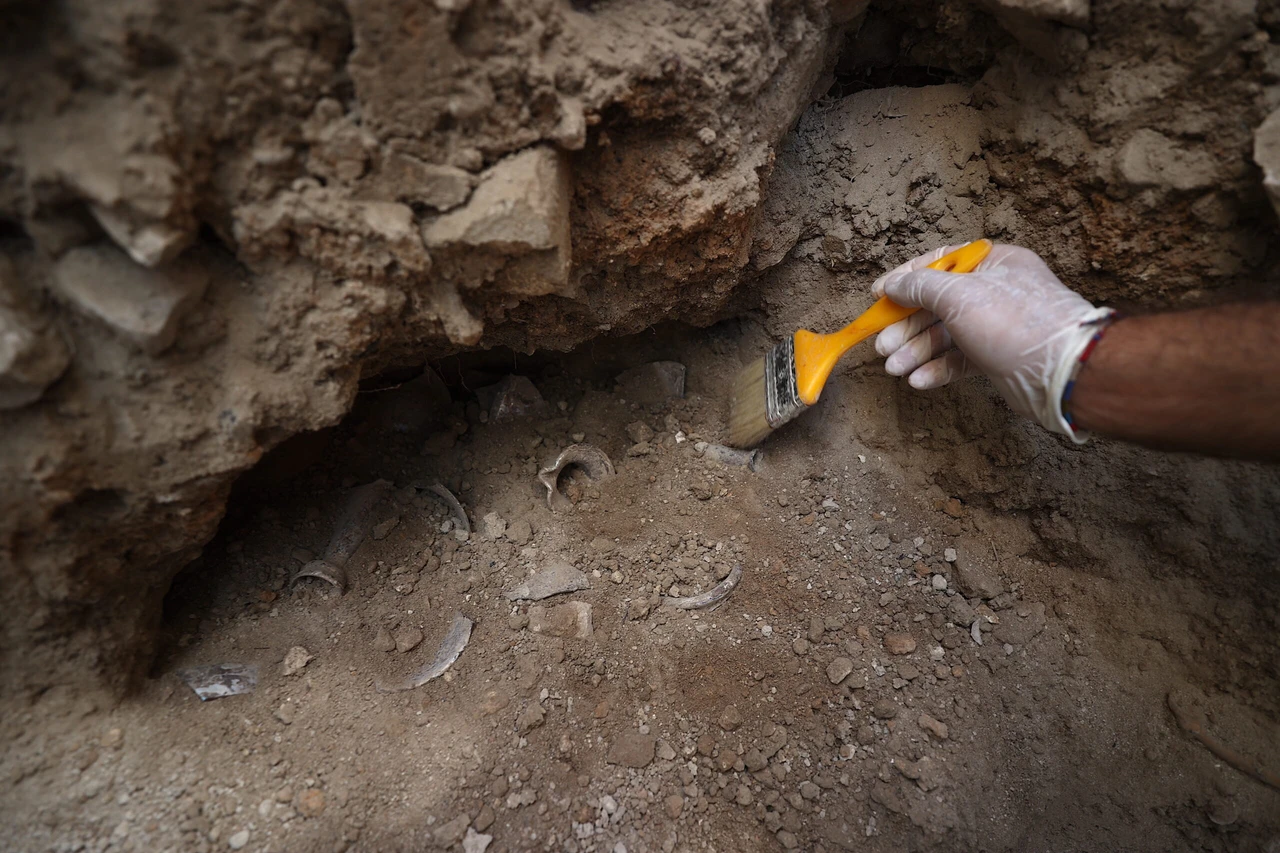 Türkiye's Silifke Castle reveals evidence of 'cult of dead' in new archaeological dig