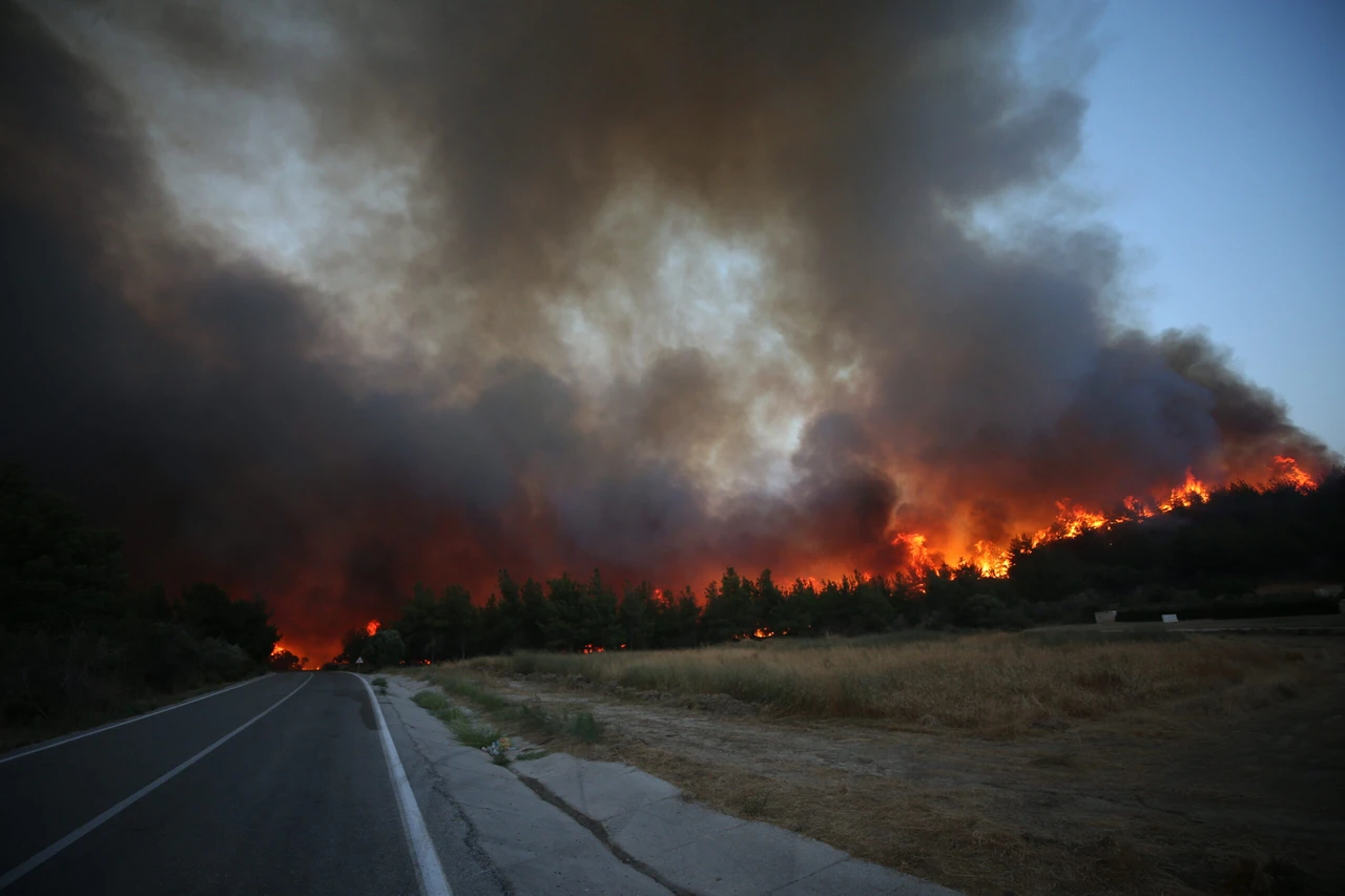 Türkiye battles forest fires in four provinces