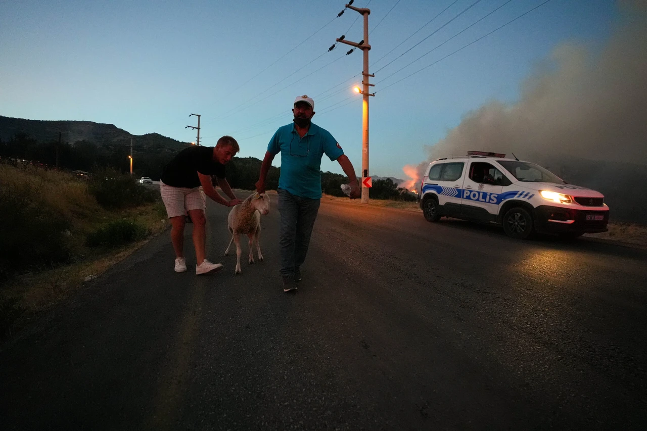 Türkiye mobilizes major response to Izmir fires: 596 vehicles, 2,965 personnel engaged