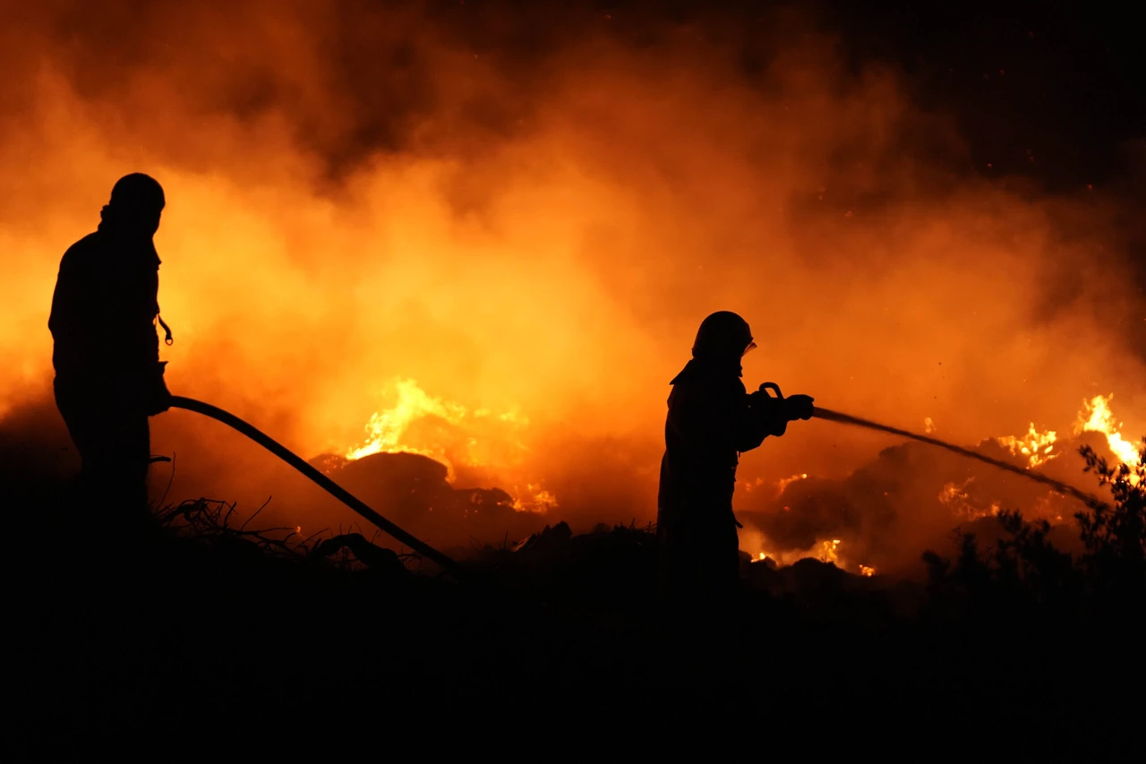 Survival guide to Izmir's escalating wildfire as firefighting efforts intensify