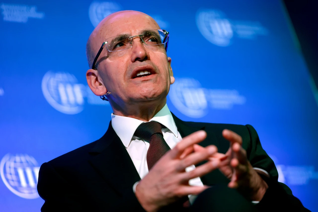 '2025 will be year of disinflation': Turkish Finance Minister Simsek