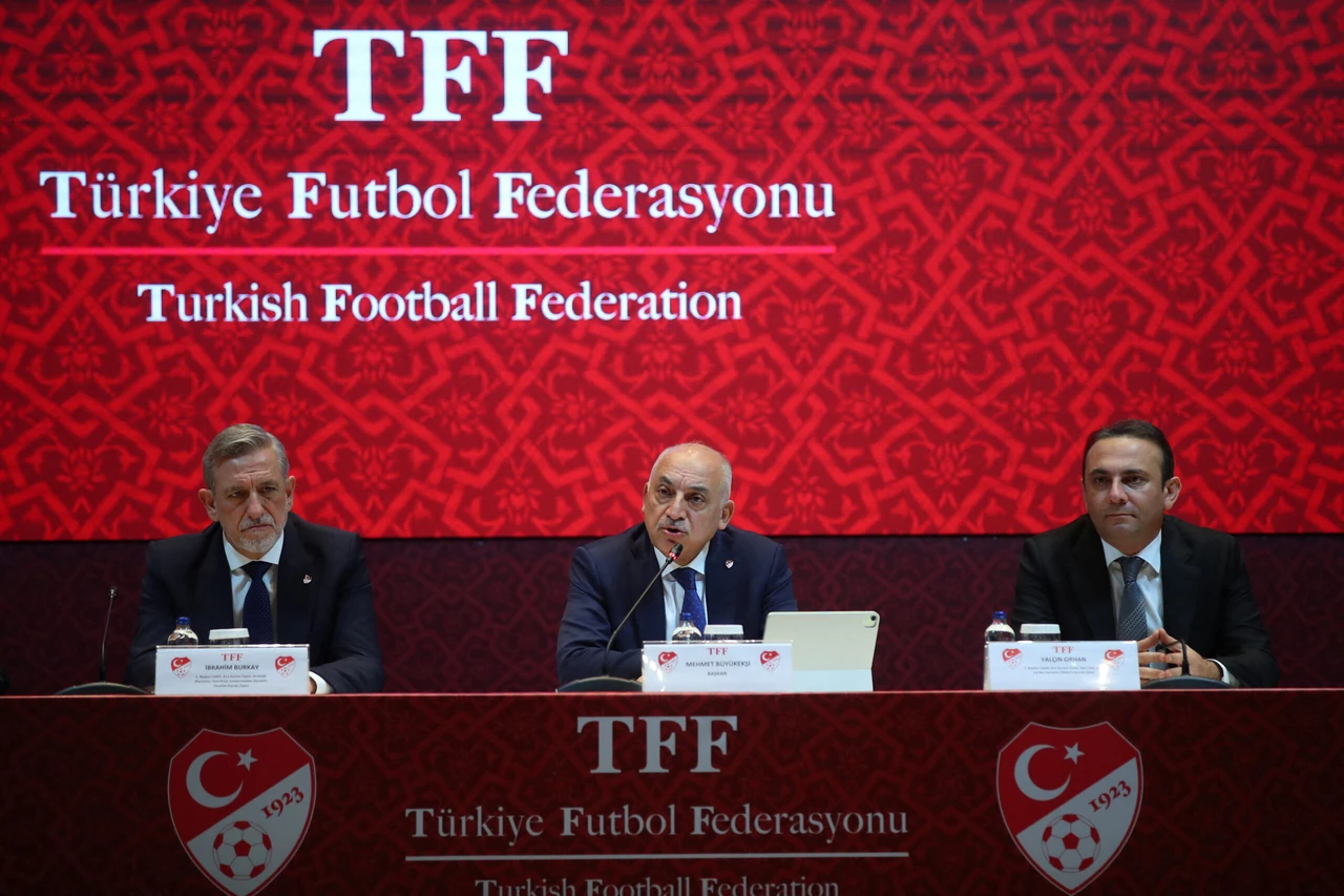 4 members of Türkiye's Court of Cassation resign from Turkish Football Federation