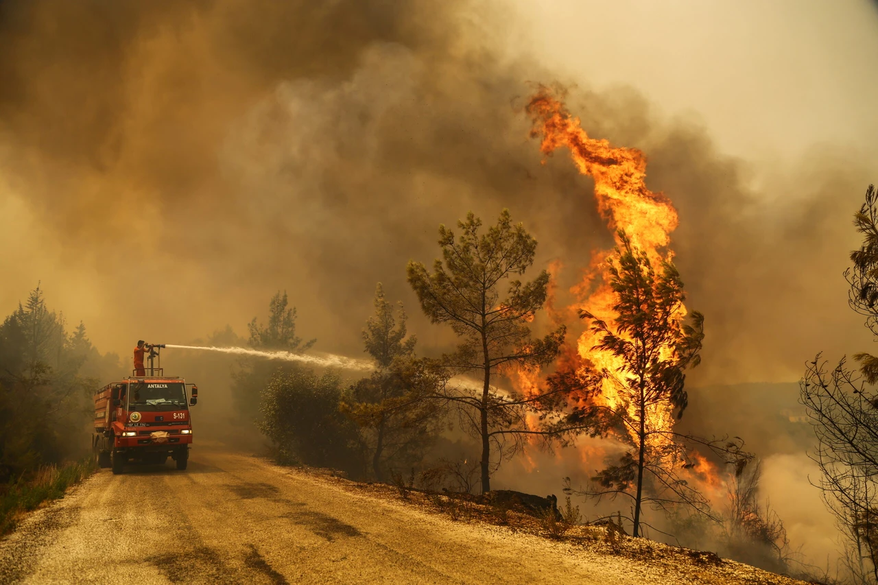 Türkiye offers aid to Greece amid devastating wildfires